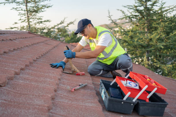 Best Roof Repair Services  in Wilderness Rim, WA